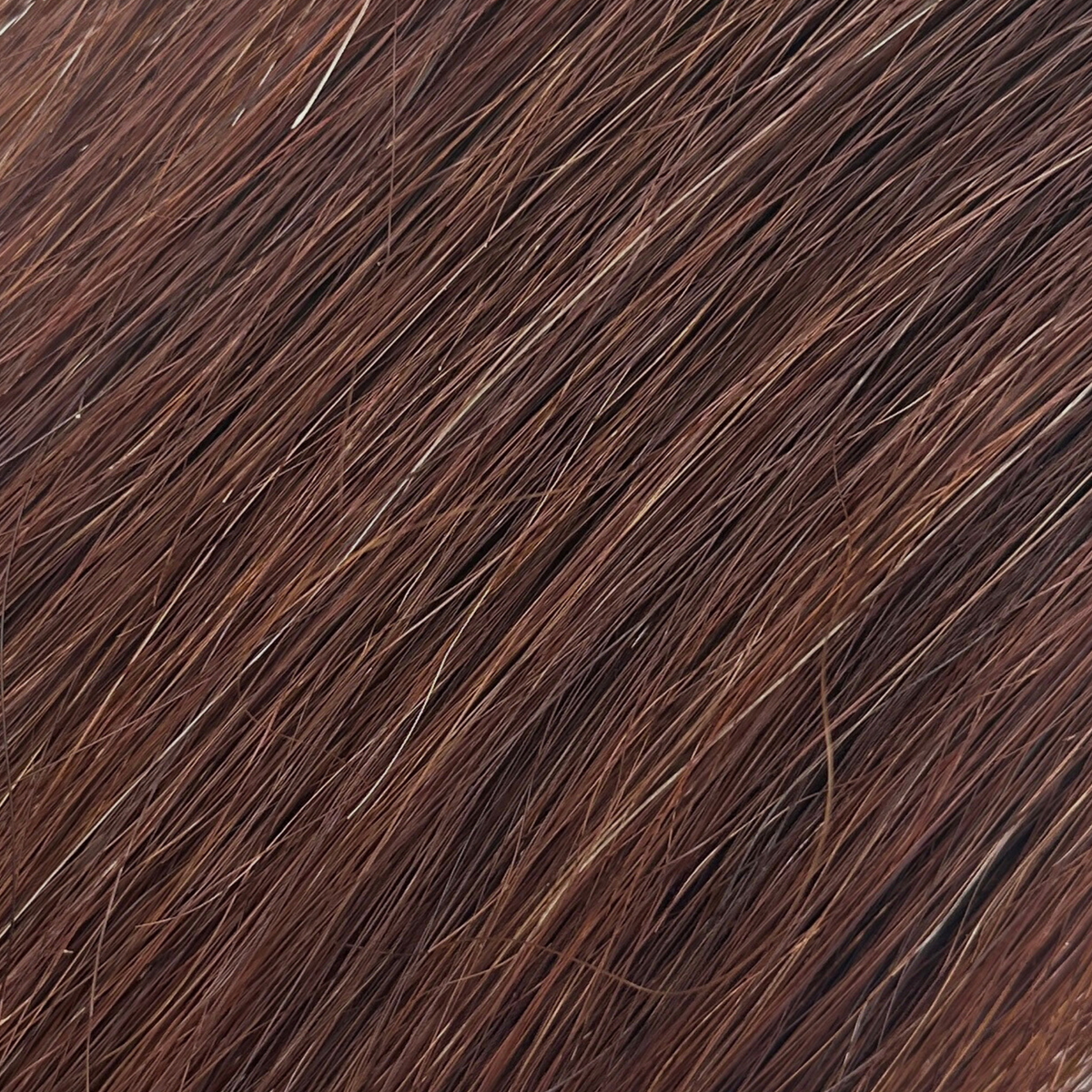 final - red chestnut | In the Details EQ Products